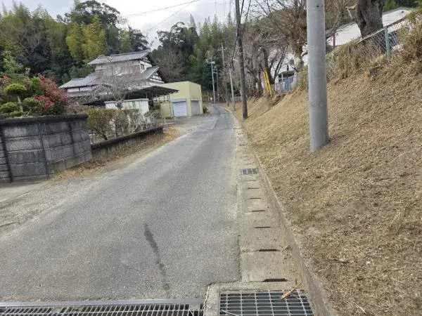 Slide 8