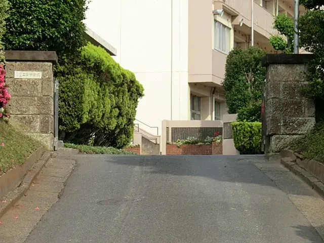 Slide 5