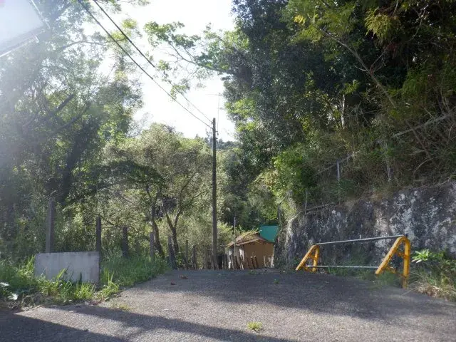 Slide 24