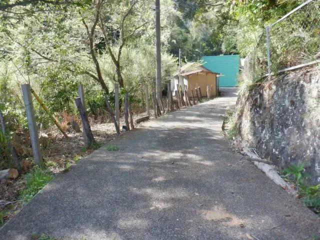 Slide 9