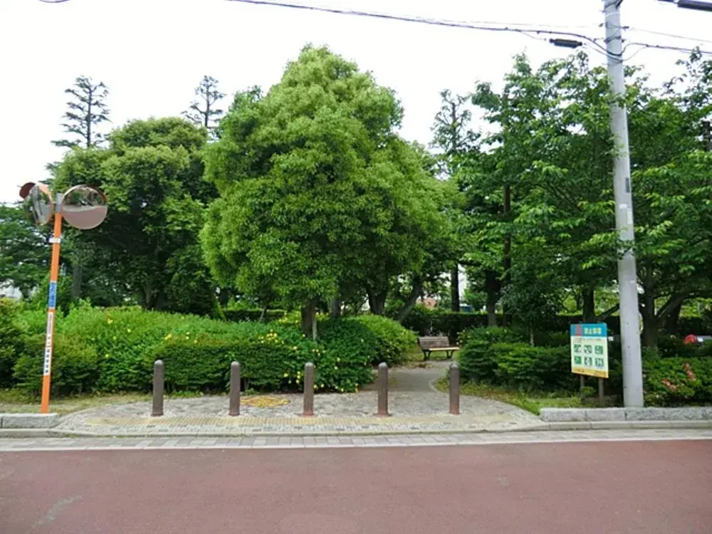 Slide 8