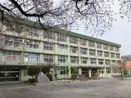 Slide 6