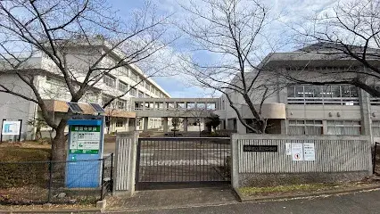 Slide 6