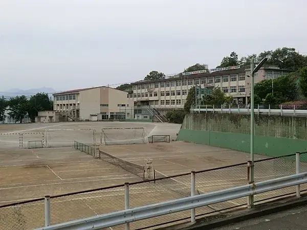 Slide 10