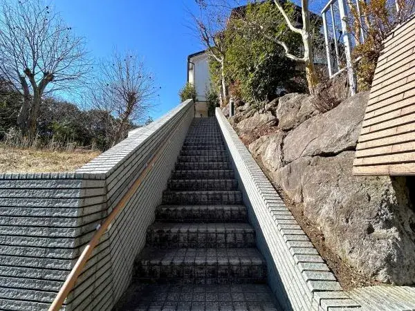 Slide 8