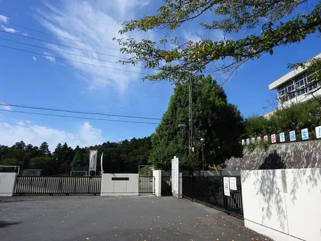 Slide 5