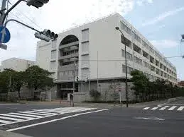 Slide 5