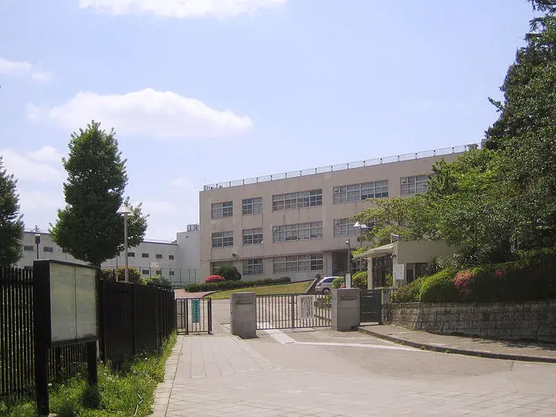 Slide 8