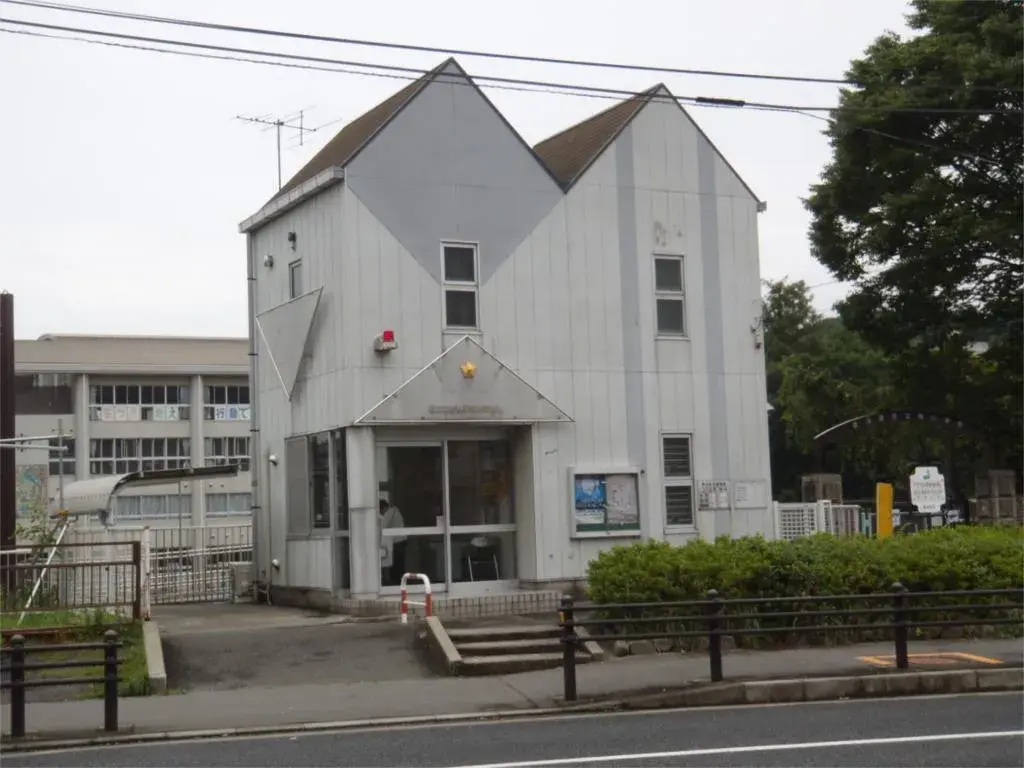 Slide 5