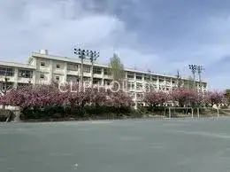 Slide 3