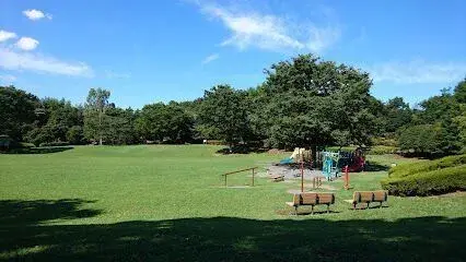 Slide 5
