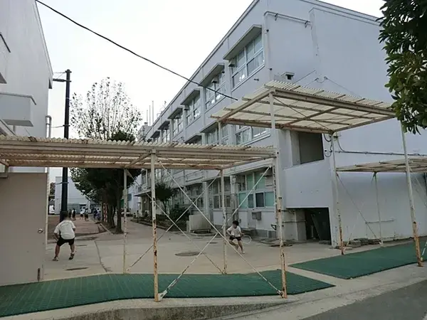 Slide 7