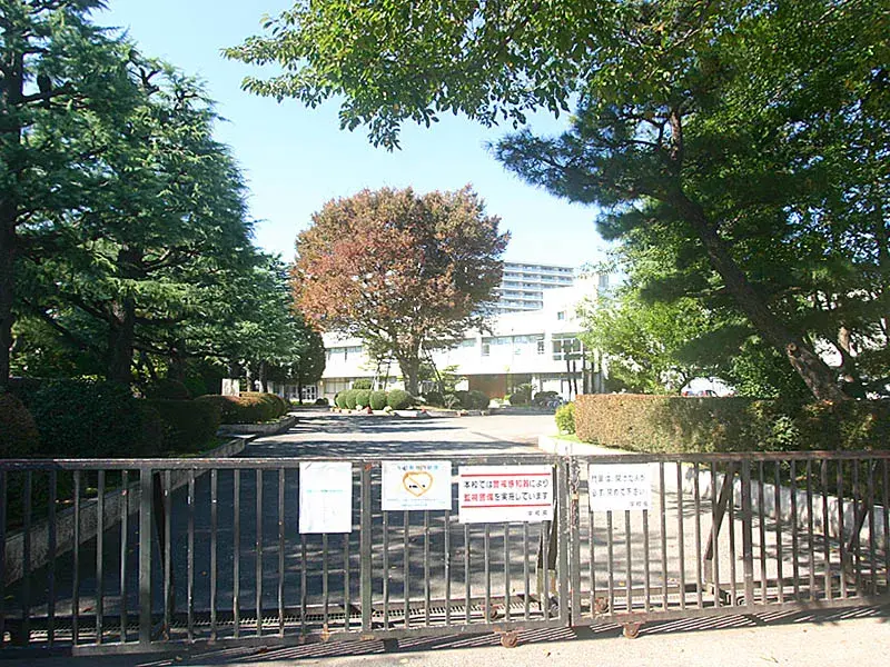 Slide 8