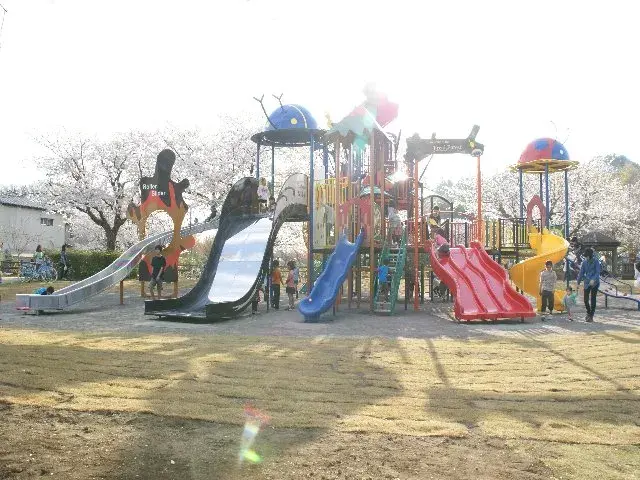 Slide 6