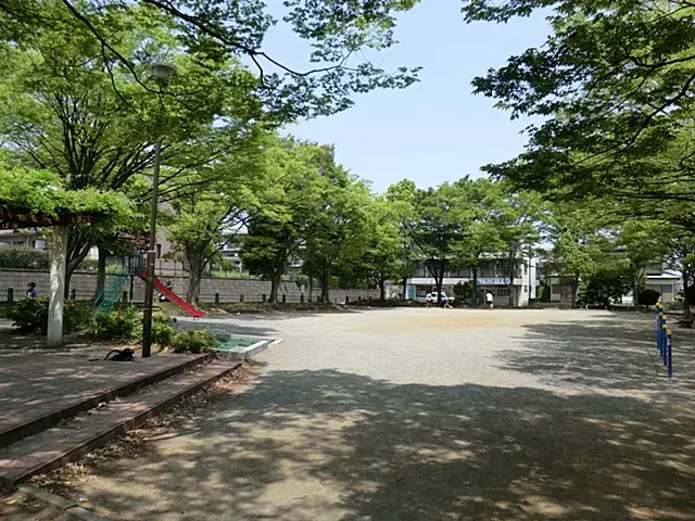 Slide 6