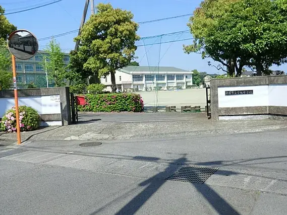 Slide 8