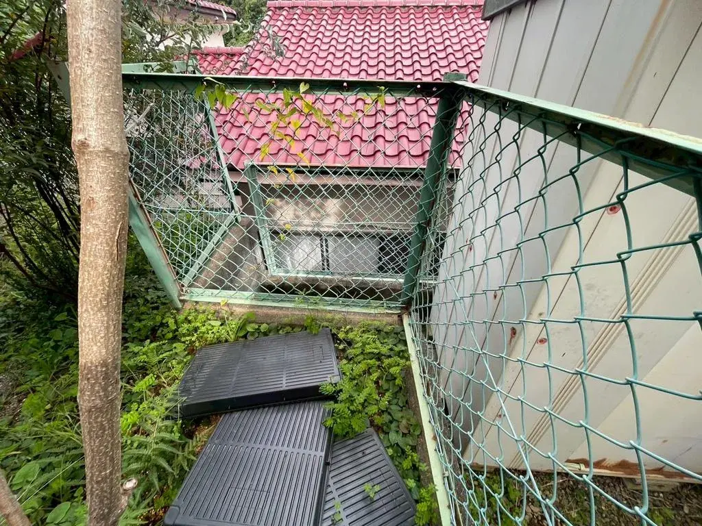 Slide 8