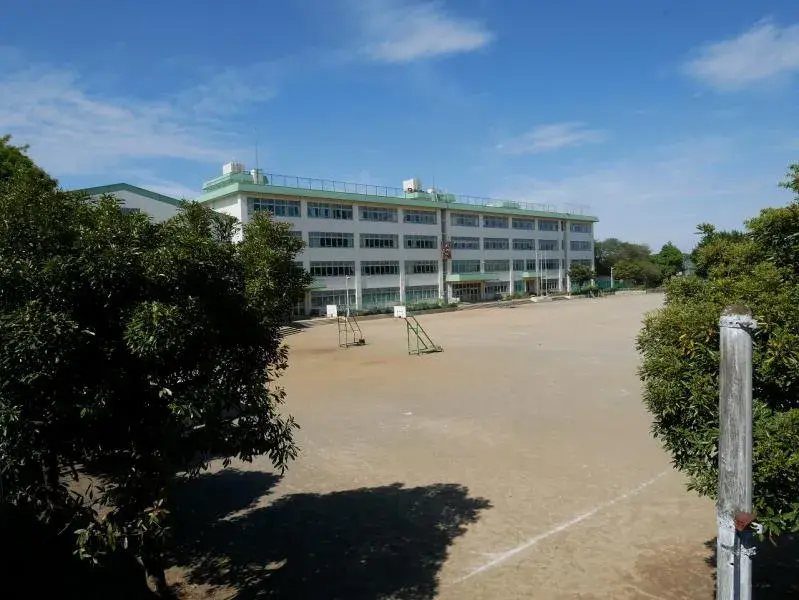 Slide 5