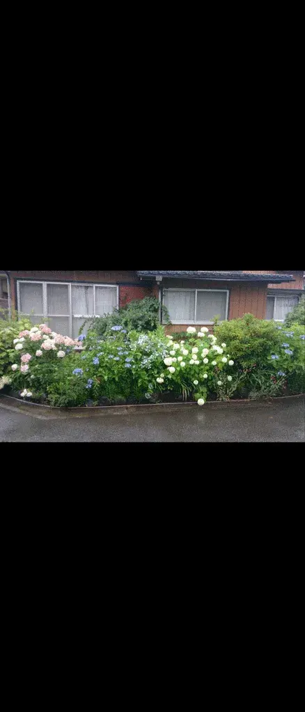 Slide 19