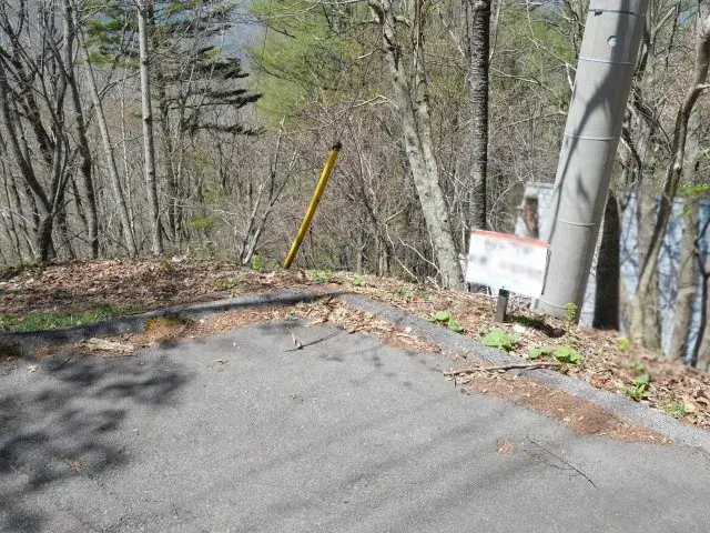 Slide 5