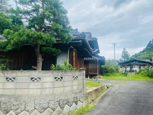 Slide 9