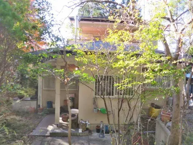 Slide 11