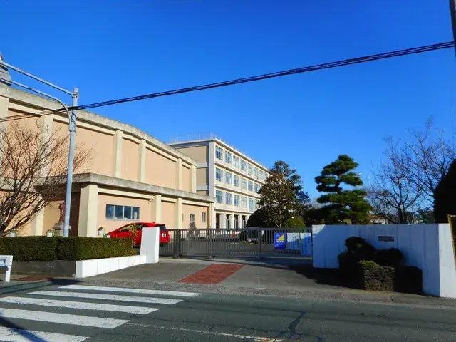 Slide 7