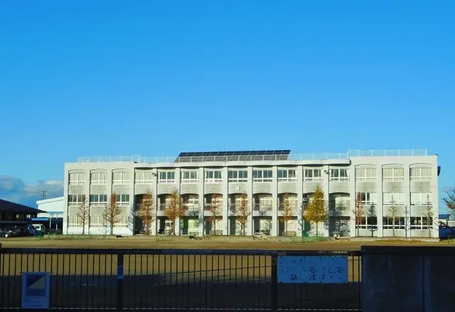 Slide 8