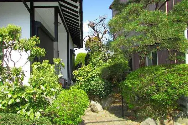 Slide 3