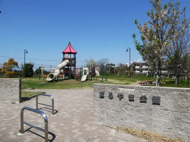 Slide 8