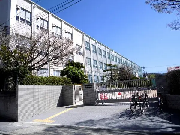 Slide 5