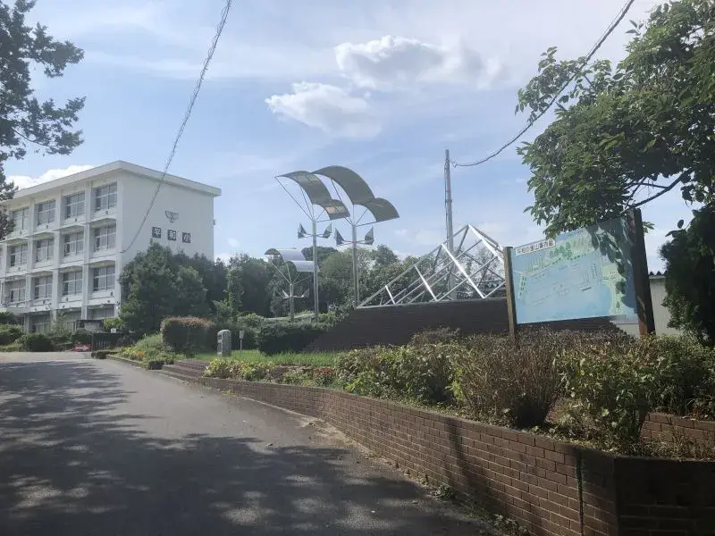 Slide 8