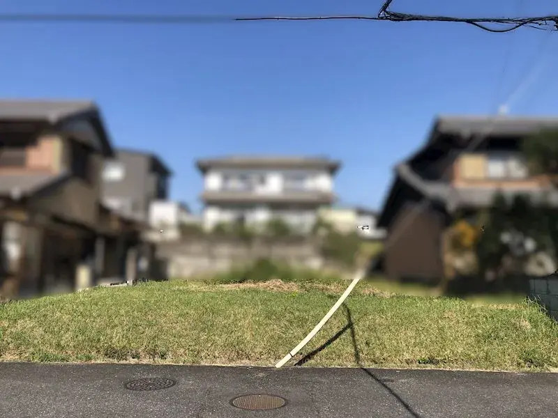 Slide 5