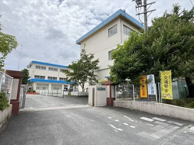 Slide 5