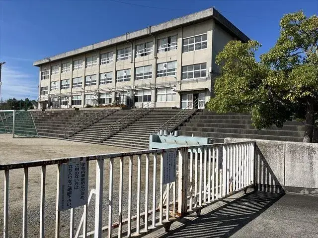 Slide 6