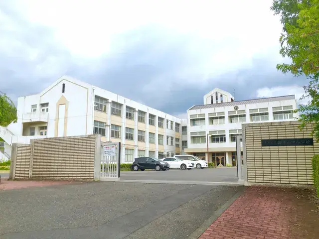 Slide 8