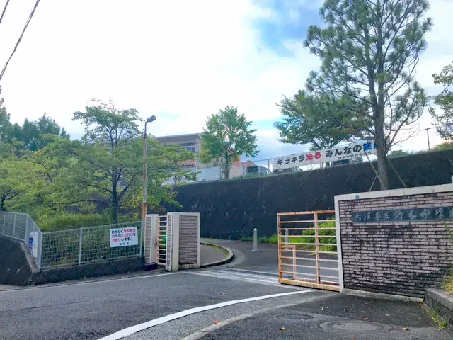 Slide 9
