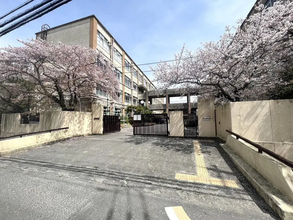 Slide 5