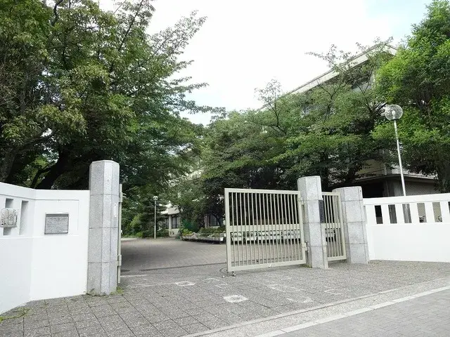 Slide 1