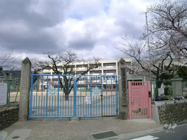 Slide 4