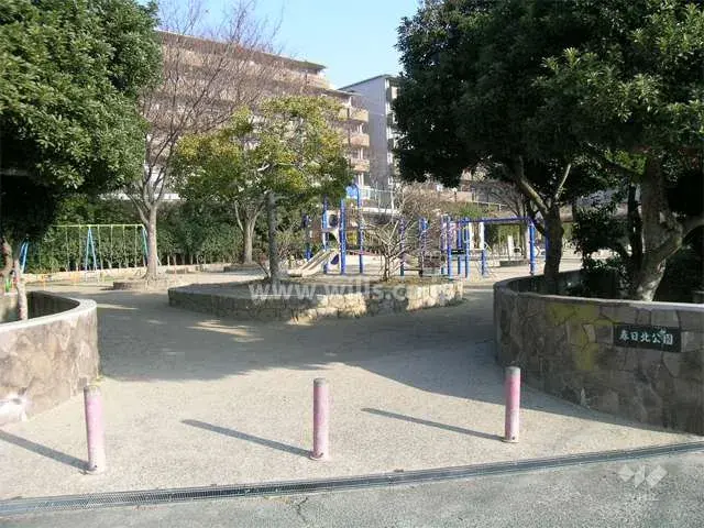 Slide 5