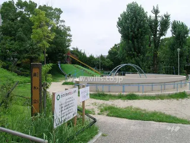 Slide 1