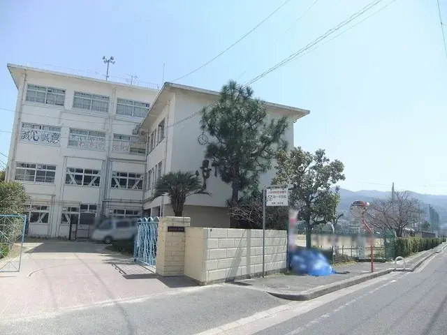 Slide 6