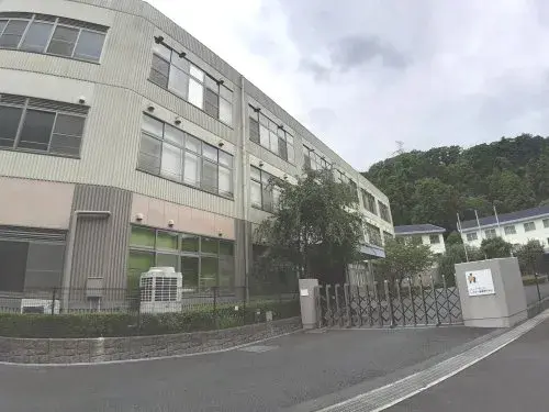 Slide 11