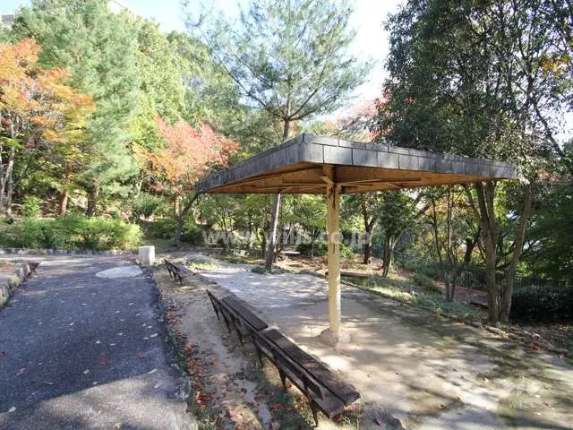 Slide 1
