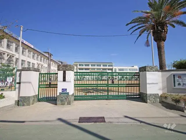 Slide 6