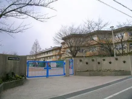 Slide 6