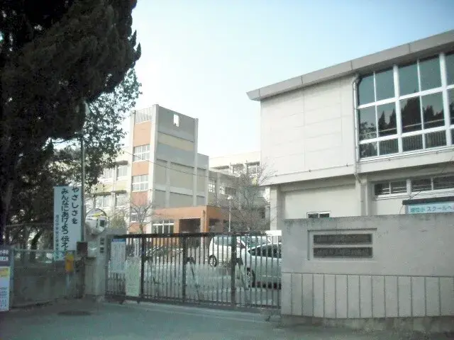 Slide 6