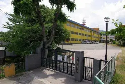 Slide 7
