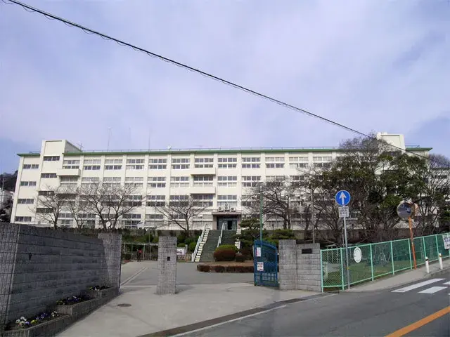Slide 8